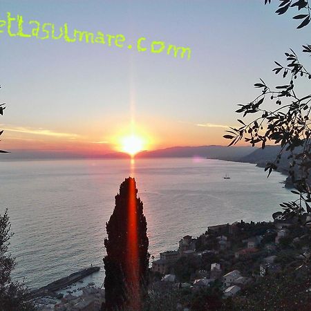 Villetta Sul Mare คาโมยลี ภายนอก รูปภาพ