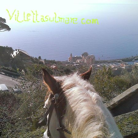 Villetta Sul Mare คาโมยลี ภายนอก รูปภาพ