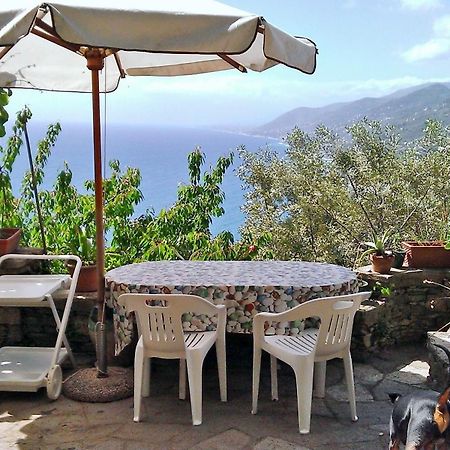 Villetta Sul Mare คาโมยลี ภายนอก รูปภาพ