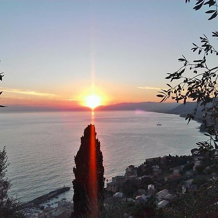 Villetta Sul Mare คาโมยลี ภายนอก รูปภาพ