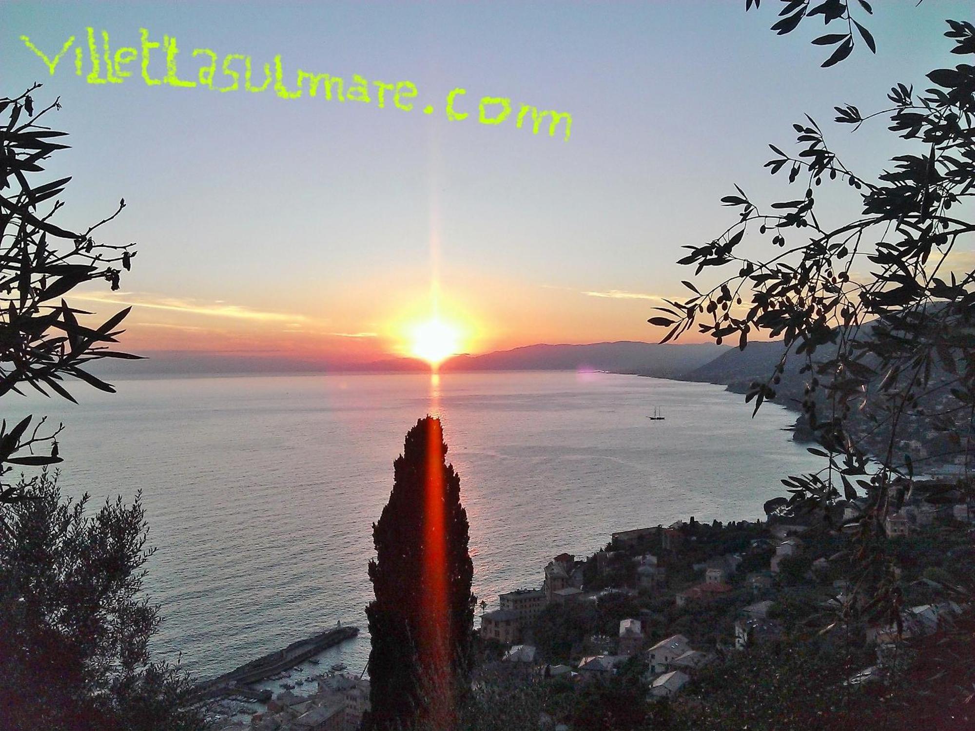Villetta Sul Mare คาโมยลี ภายนอก รูปภาพ
