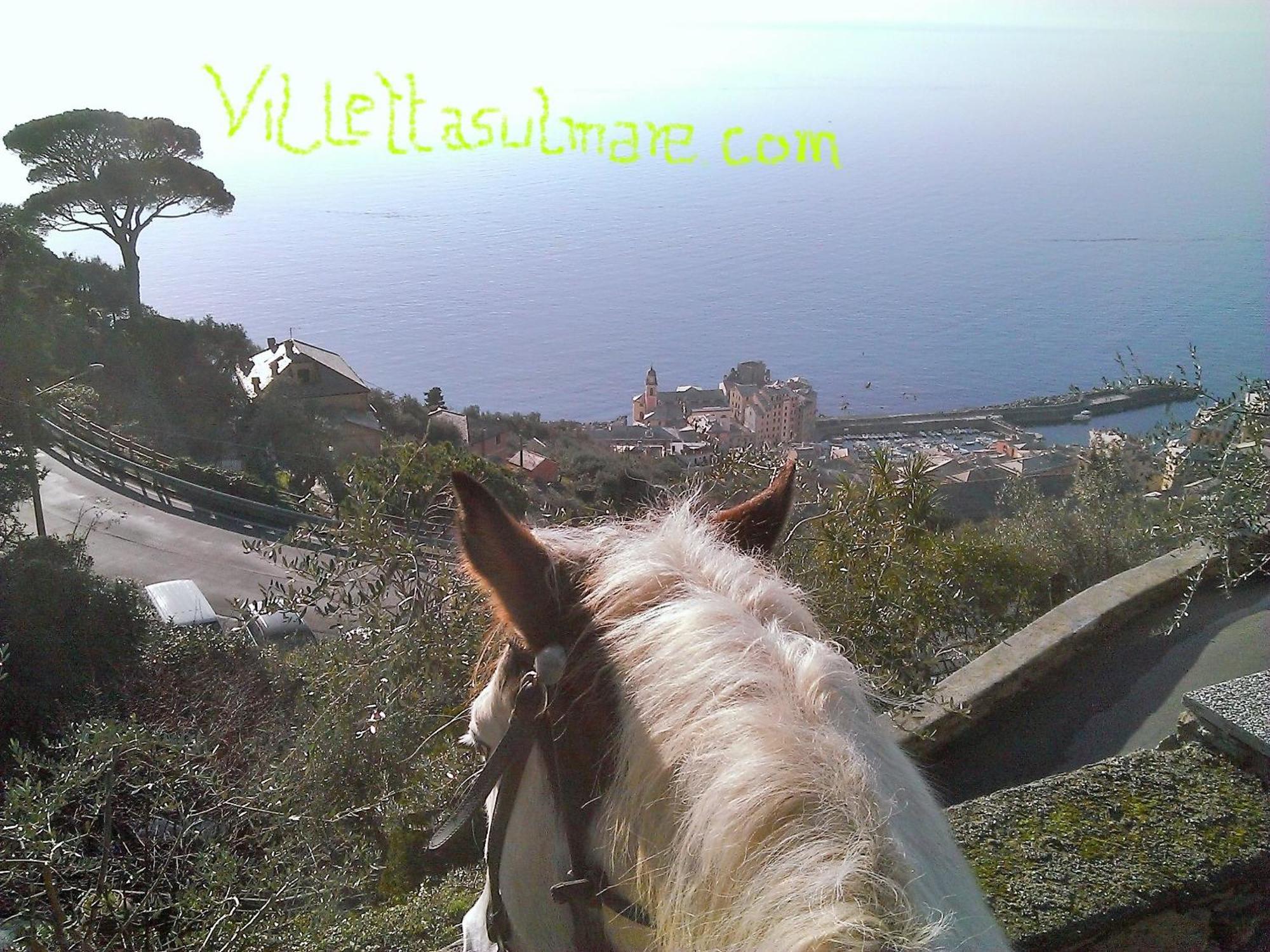Villetta Sul Mare คาโมยลี ภายนอก รูปภาพ