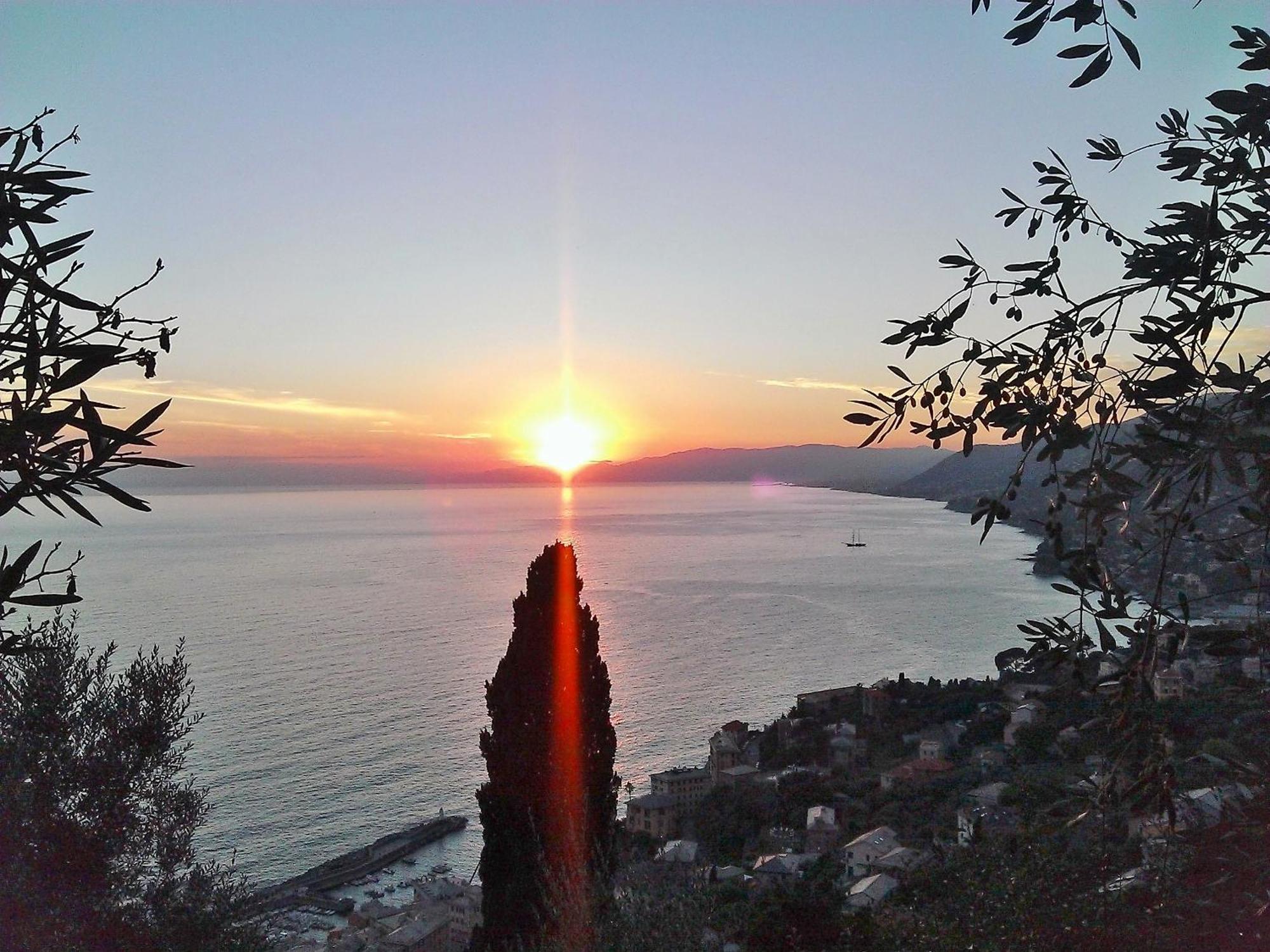 Villetta Sul Mare คาโมยลี ภายนอก รูปภาพ